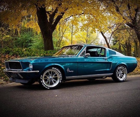 blue American muscle