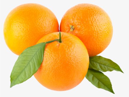 oranges no background - Google Search