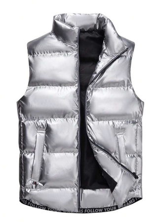 silver vest