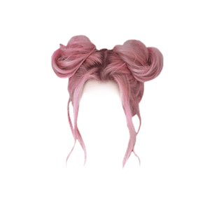 pastel bun wig png transparent - Google Search
