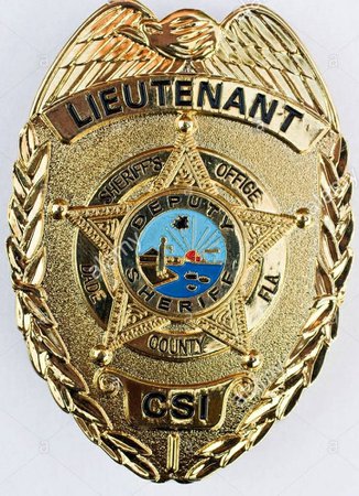 CSI badge