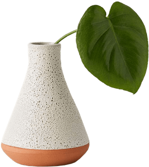 Lab Flask Vase | Decorist