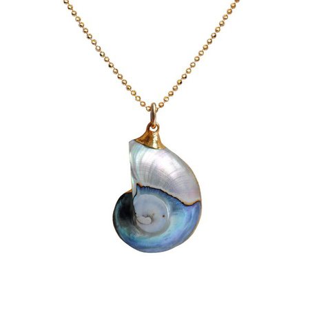 Ammonite Nautilus Necklace- Small | Love Tatum Jewelry
