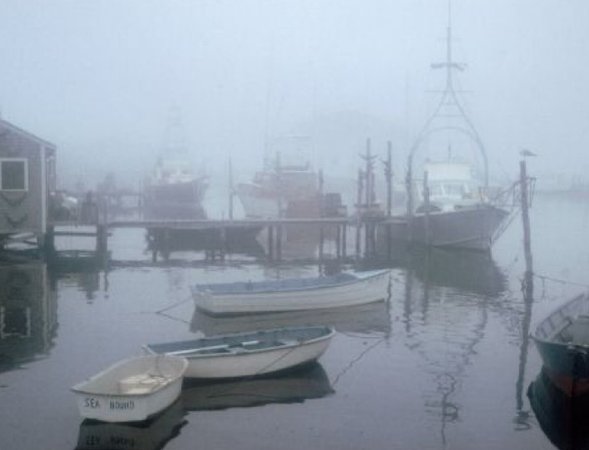 foggy boats