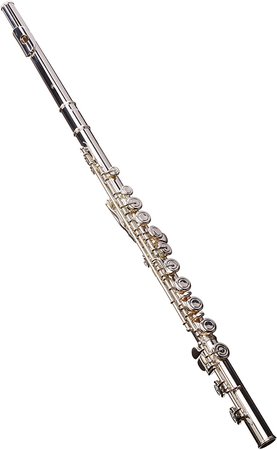 Amazon.com: Yamaha YFL-222 Intermediate Flute for Student (International Version): Musical Instruments