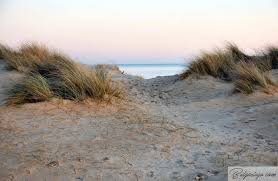 sand dunes - Google Search