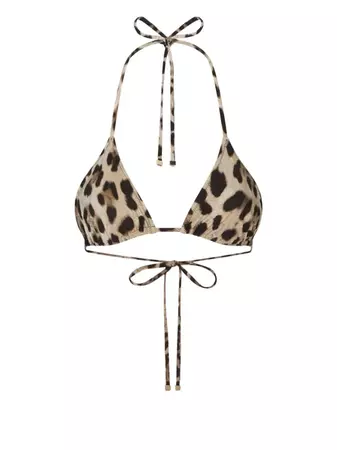 Dolce & Gabbana leopard-print triangle-cup Bikini Top - Farfetch