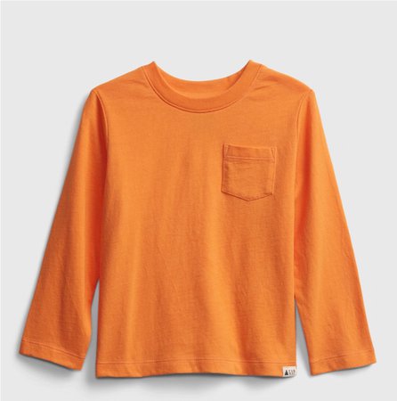 toddler orange shirt