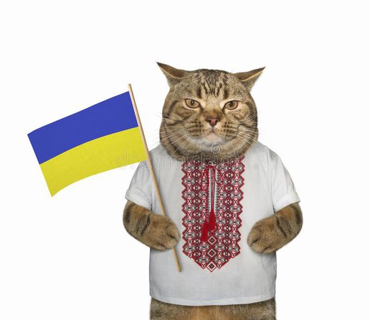Ukraine Kitty