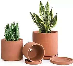 Amazon.com : D'vine Dev Terracotta Pots for Plants, 4.2 Inch 5.3 Inch 6.5 Inch, Succulent Planter Pot with Drainage and Saucer, 40-A-T-1 : Patio, Lawn & Garden