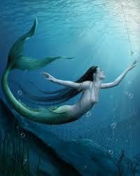 siren mermaid
