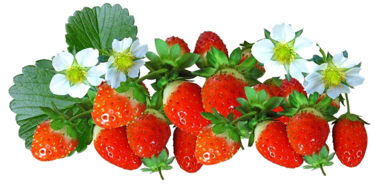 cottagecore, farmcore, strawberries