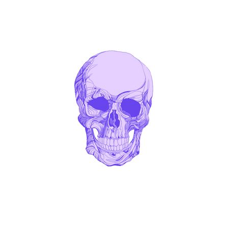 purple aesthetic skull