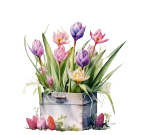 Spring Tulips PNG:KlosetKouture