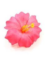 hibiscus hair clips - Google Search