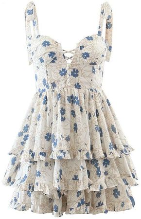 White & Blue Floral Dress
