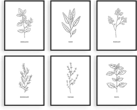 Amazon.com: Kitchen Herbs Wall Art Decor for Kitchen - by Haus and Hues | Herb Art Prints and Kitchen Signs Wall Decor | Herb Prints Kitchen Wall Art Kitchen Prints for Wall Herb Decor (8"X10" UNFRAMED): Posters & Prints
