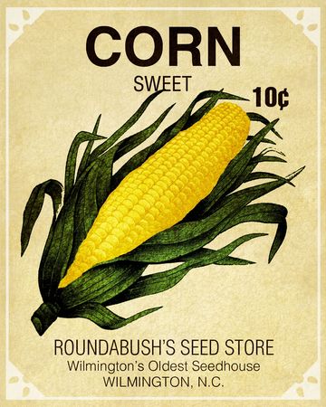 corn seed packet