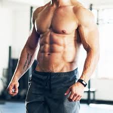 6 pack abs - Google Search