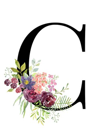 Letter C Floral Alphabet instant digital download | Etsy