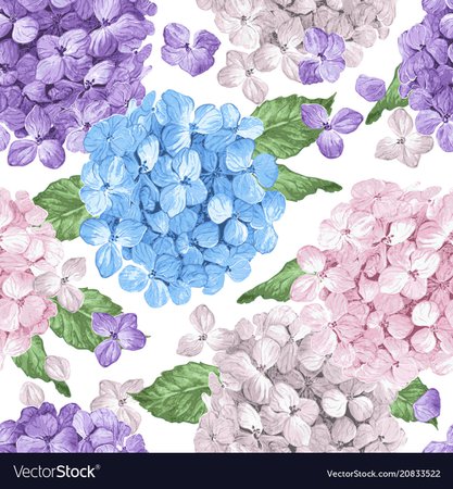 Hydrangea flowers petals and leaves in watercolor Vector Image