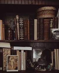 full of books dark shelves home library academia - Google Search