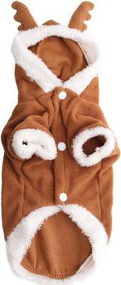 dog clothing - Google Search