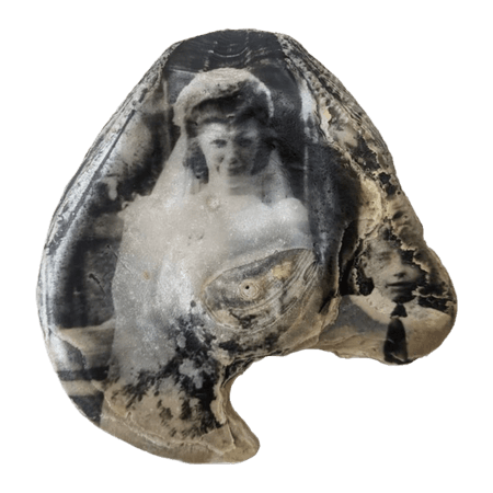 Oyster Shell Ghost