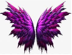 Pinterest (Pin) (29) colorful wings