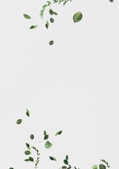 Leaf Clipart Frame - Pinterest