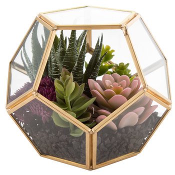 Geometric Succulent Terrarium | Hobby Lobby | 1573906