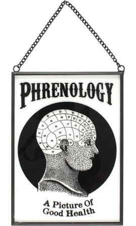 Glass Phrenology Hanging Sign - Buy Online Australia – Beserk