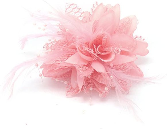Flower Feather Bead Corsage Hair Clips Fascinator Hairband and Pin (Baby Pink) : Amazon.co.uk: Beauty