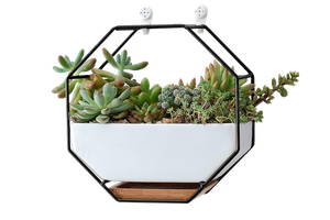VanEnjoy 7" White Ceramic Wall Planters Vase and Copper,Drainage Hole with Bamboo Tray - Succulent Pot Air Plants Mini Cactus Artificial Flowers Hanging Geometric Hexagon Wall Decor (Black Metal) | Decorist