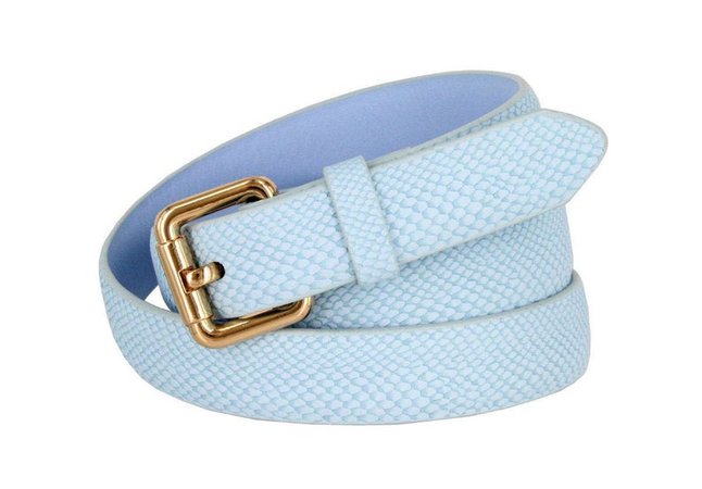 Women's Baby Blue Leather Belt Gold Buckle | Etsy