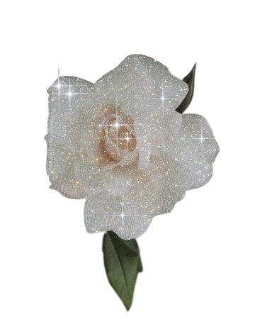 White Rose Sparkle Aesthetic