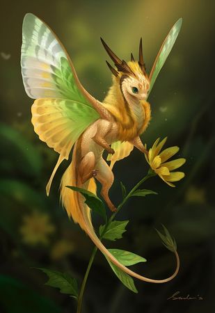Small Fairy Dragon