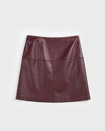 A-line leather mini skirt - WINE | Skirts | Ted Baker