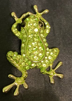 bejeweled 🐸 frog brooch