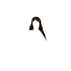 DARK BROWN HAIR BLACK CLIPS/PINS [JENNIE KIM SOLO HAIR]