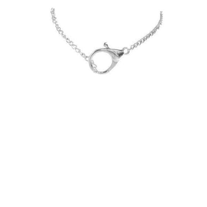 Silver Chain Choker Necklace