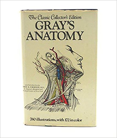 gray's anatomy