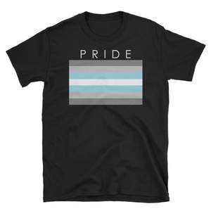 T-Shirt - Demiboy PRIDE – Fashion4LGBT