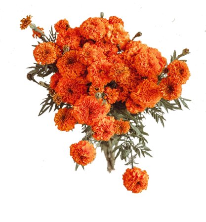 aztec marigold bouquet