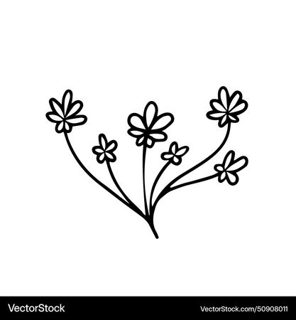 Chamomile or daisy flower doodle for printing Vector Image