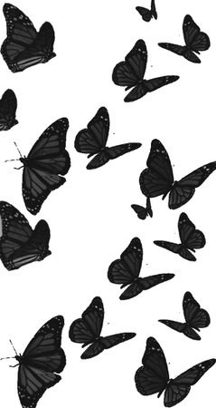 Black butterflies