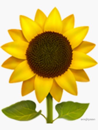 "Sunflower Emoji" Sticker by emojiqueen | Redbubble