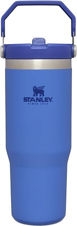 Amazon.com: Stanley IceFlow Stainless Steel Tumbler with Straw - Vacuum Insulated Water Bottle for Home, Office or Car - Reusable Cup with Straw Leakproof Flip - Cold for 12 Hours or Iced for 2 Days (Jade) : Stanley: Home & Kitchen