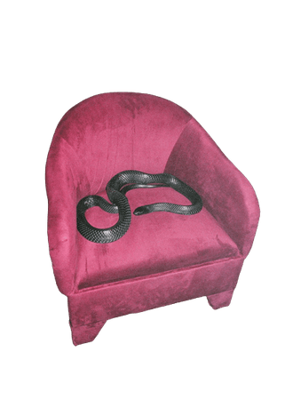 black snek in chair