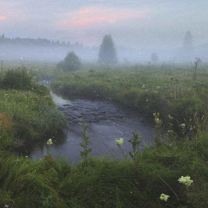 Meadow pond